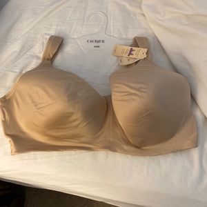 Nwt lane Bryant cream bra
